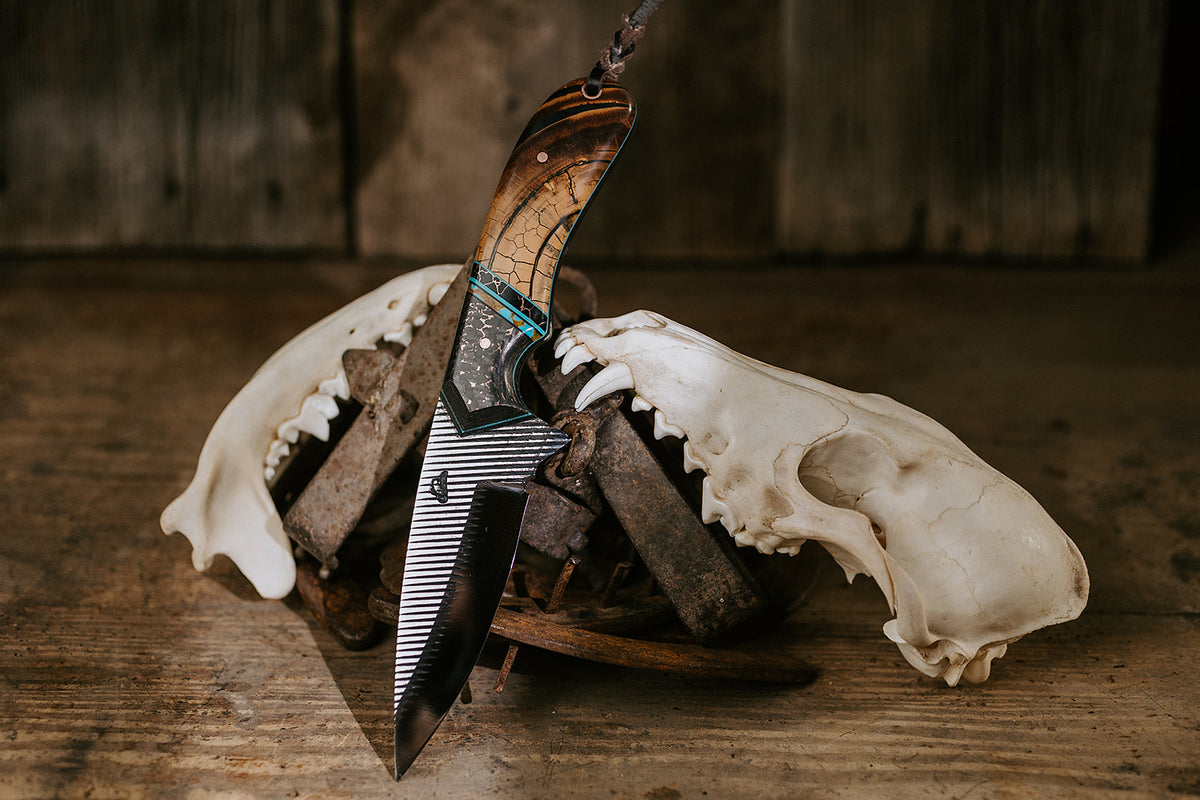 The Dead Horse