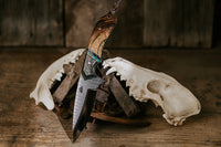 The Dead Horse