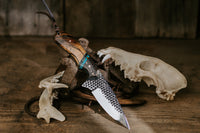 The Dead Horse