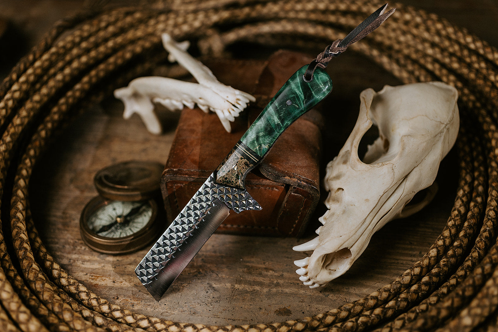 The Greenhorn