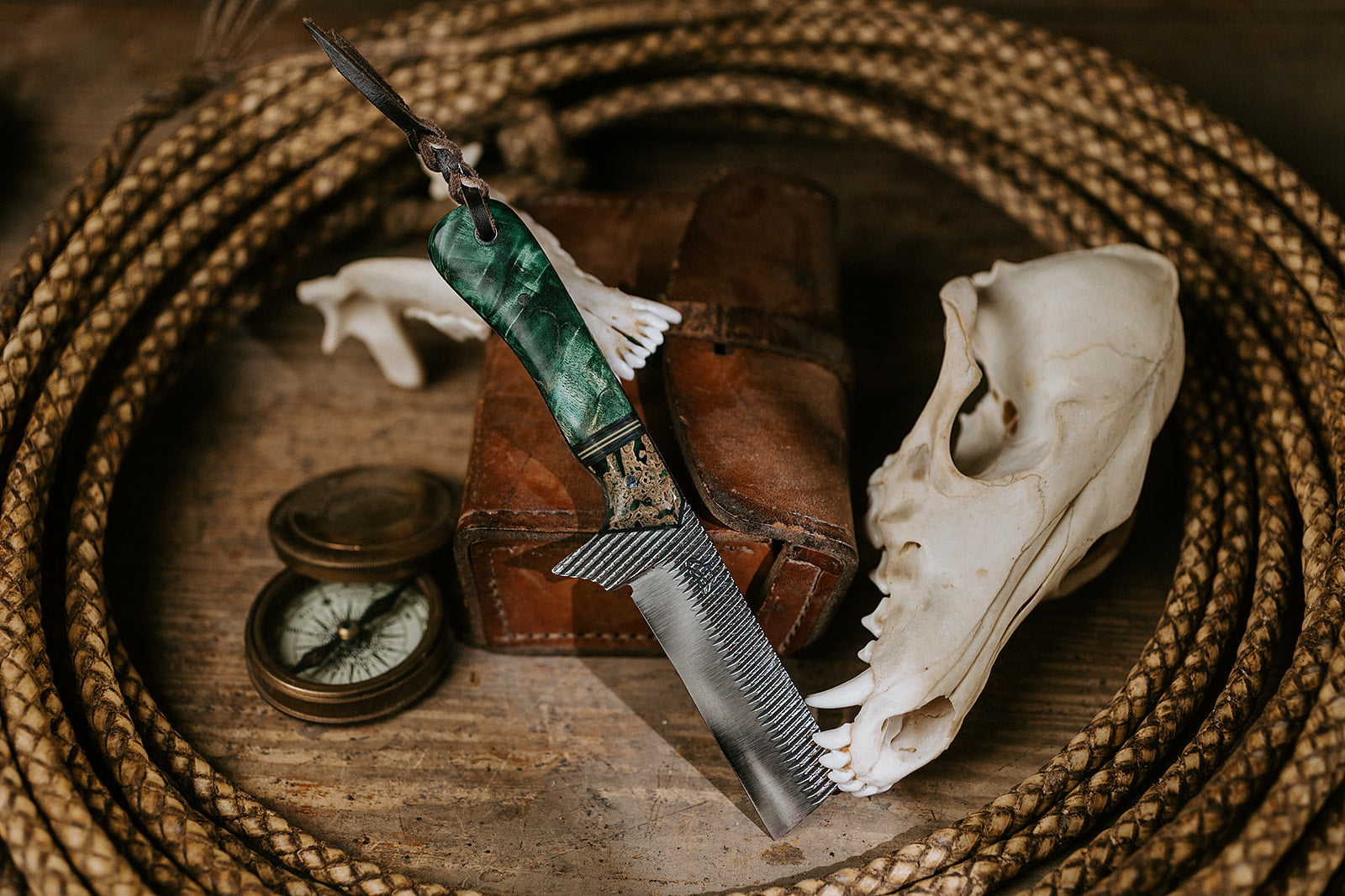 The Greenhorn