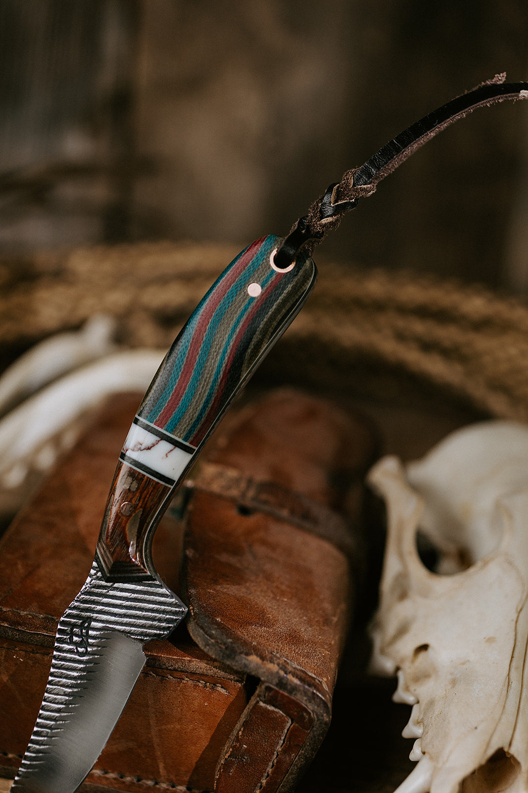 The Lobo