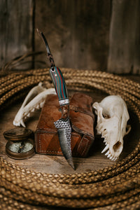 The Lobo