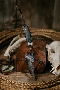 The Lobo