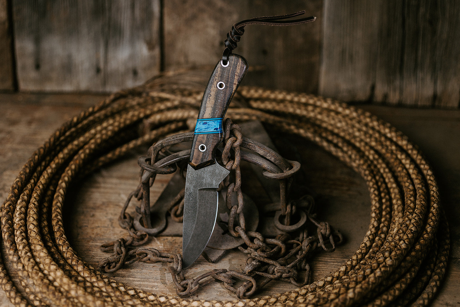 The Rimrock Roan