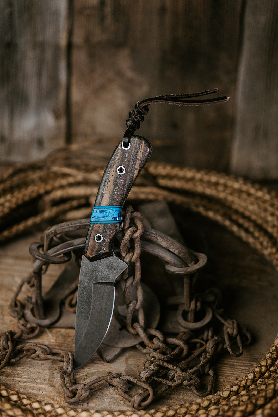 The Rimrock Roan