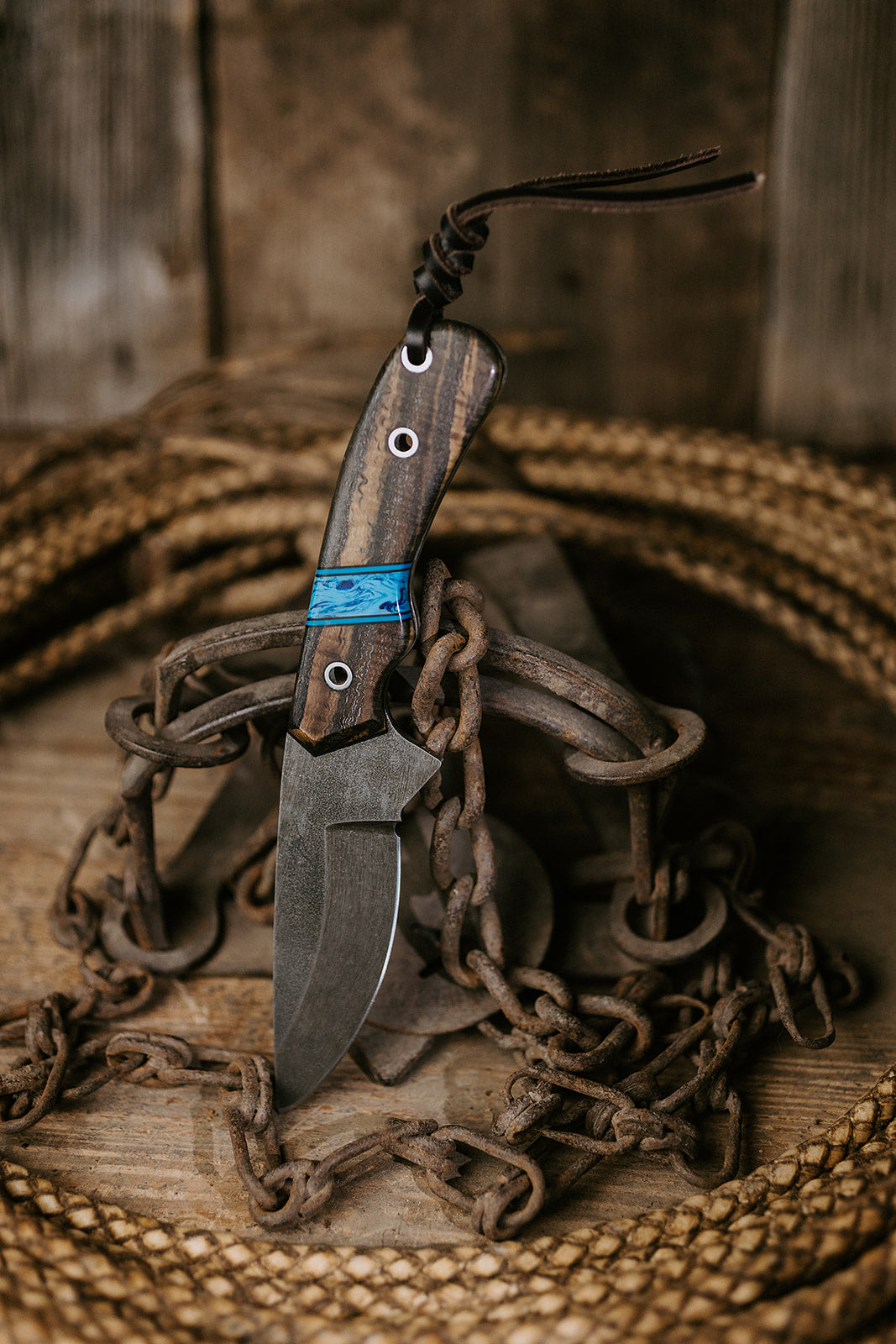 The Rimrock Roan
