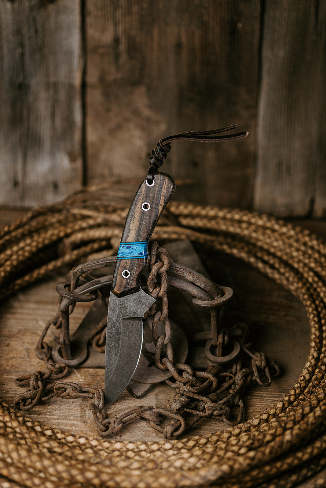 The Rimrock Roan