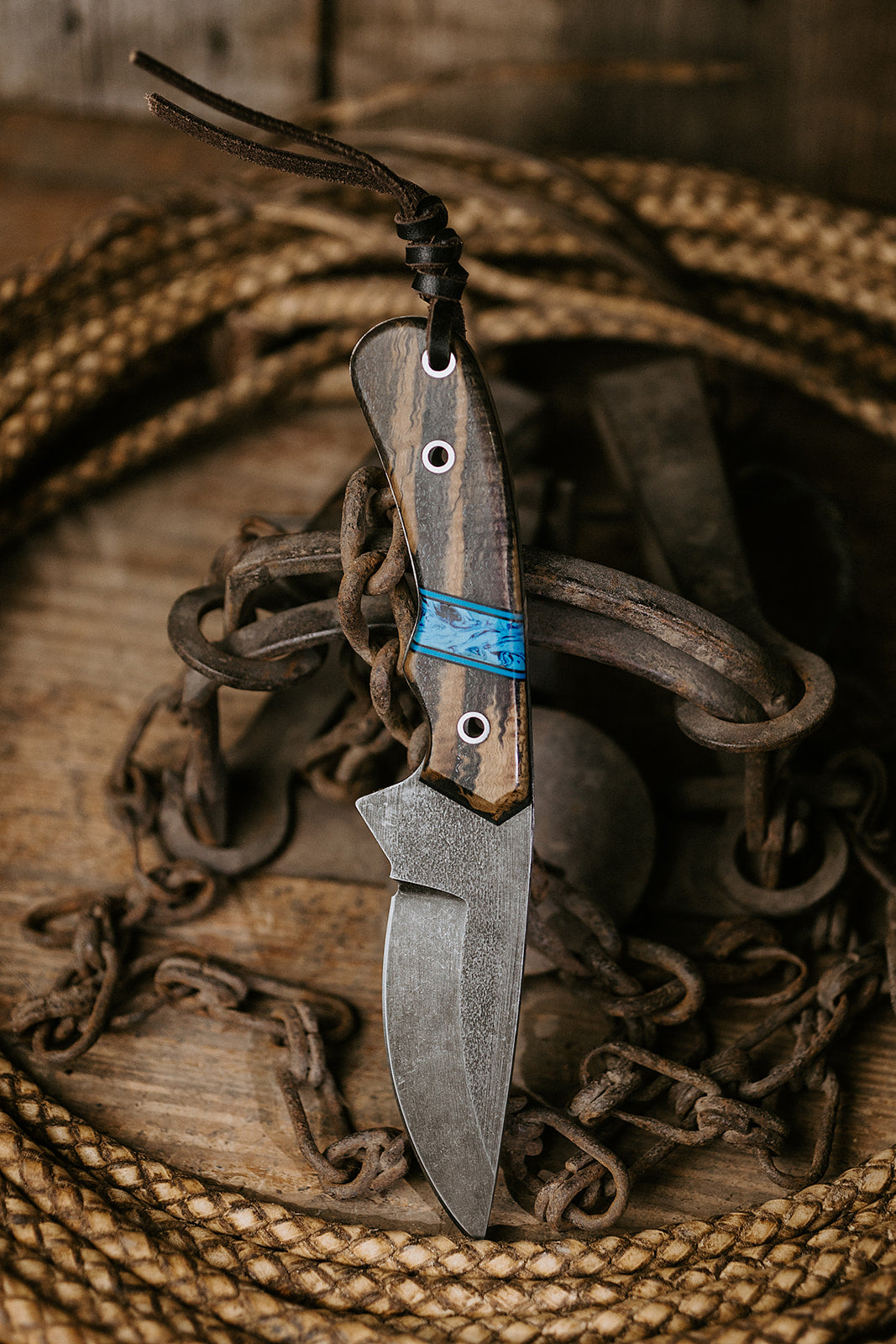 The Rimrock Roan