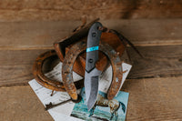 PRE-ORDER The Barncat