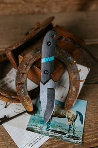 PRE-ORDER The Barncat