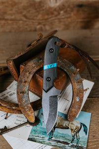 PRE-ORDER The Barncat