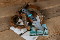 PRE-ORDER The Barncat