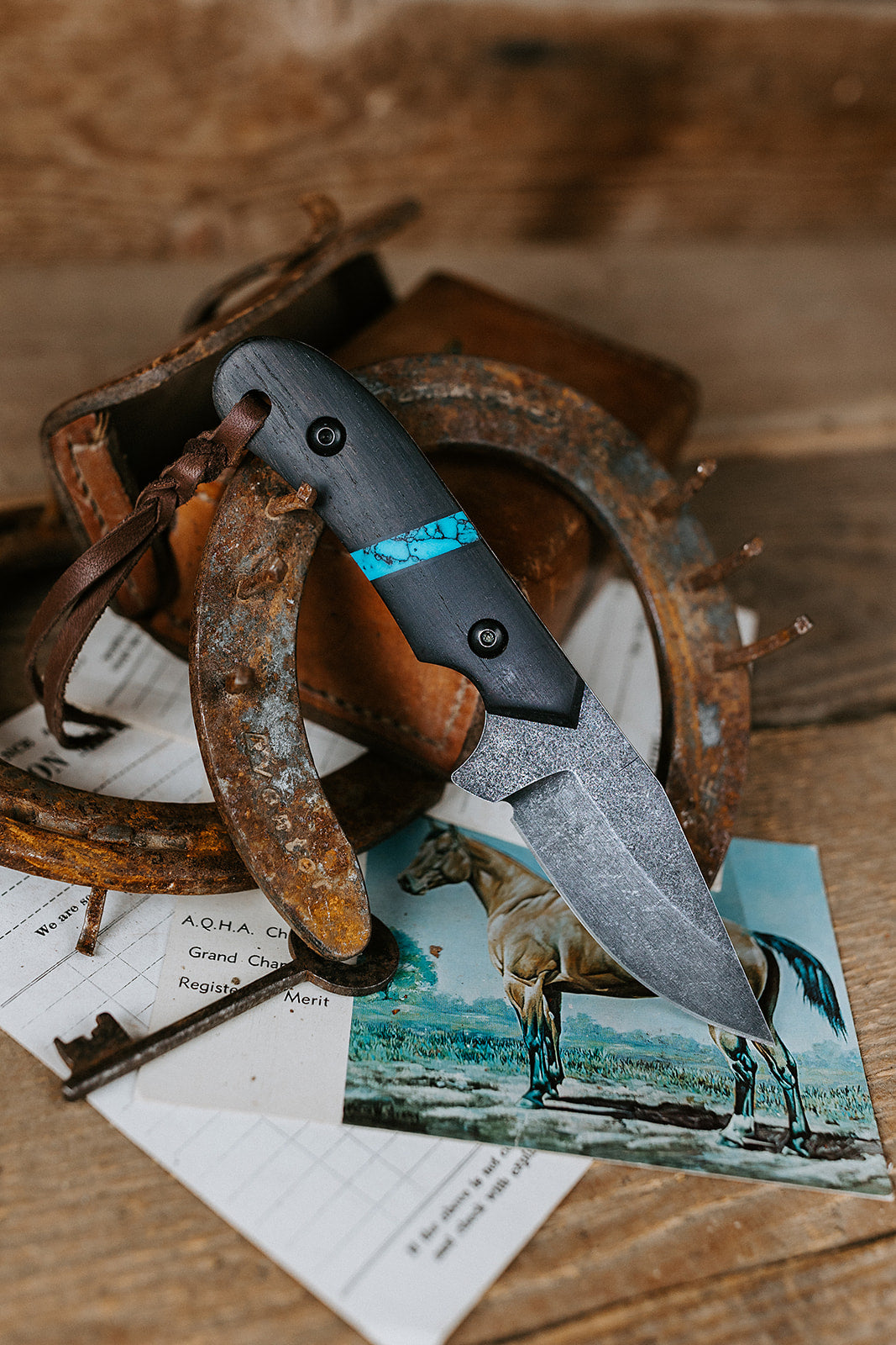 PRE-ORDER The Barncat