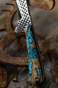 Turquoise Cholla cactus Bull Cutter