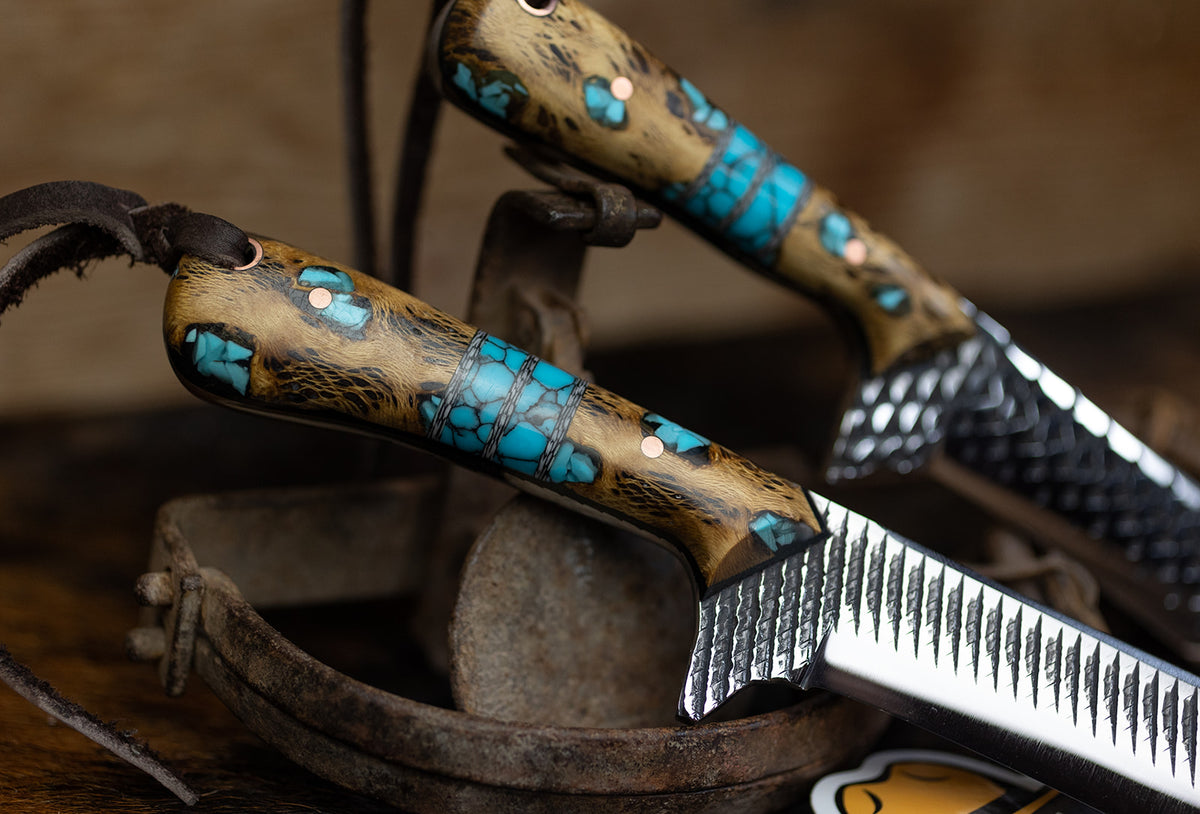 Turquoise Cholla cactus Bull Cutter