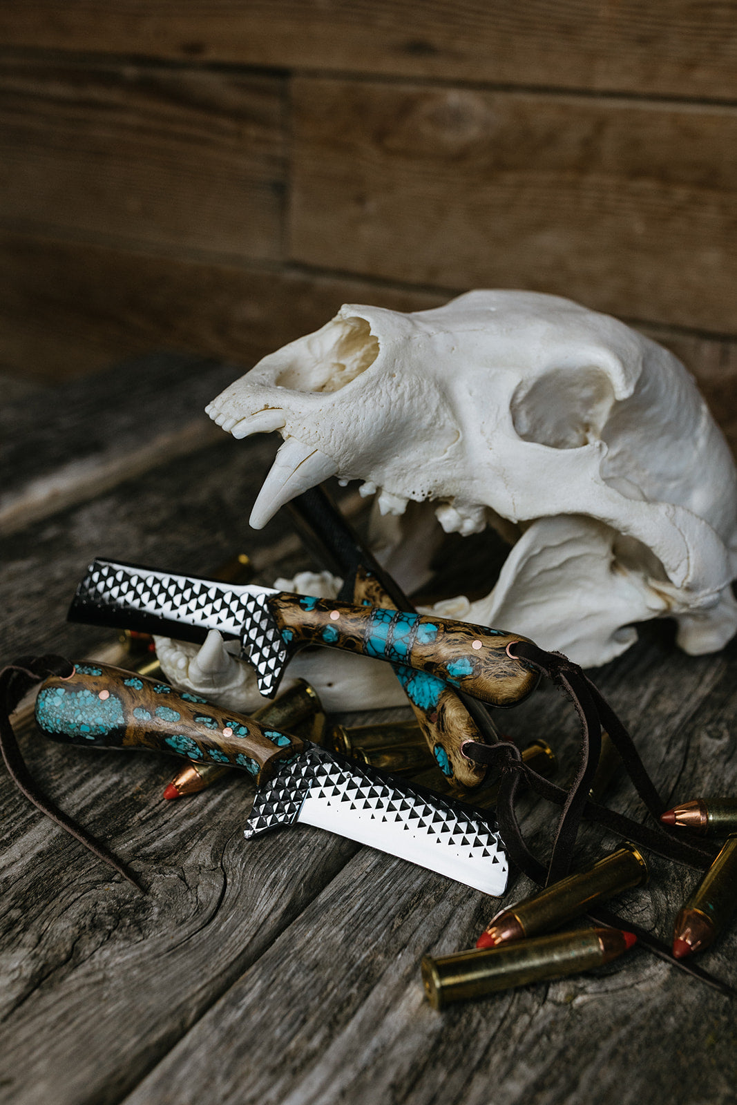 Turquoise Cholla cactus Bull Cutter