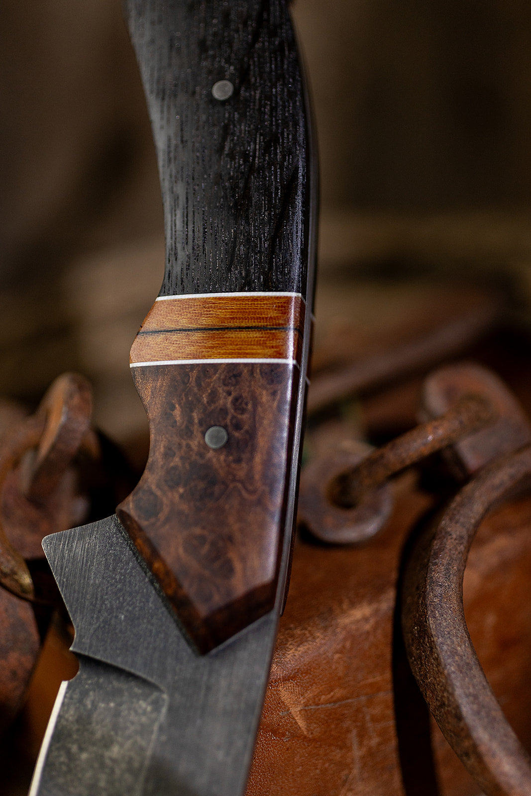 The Back Cinch
