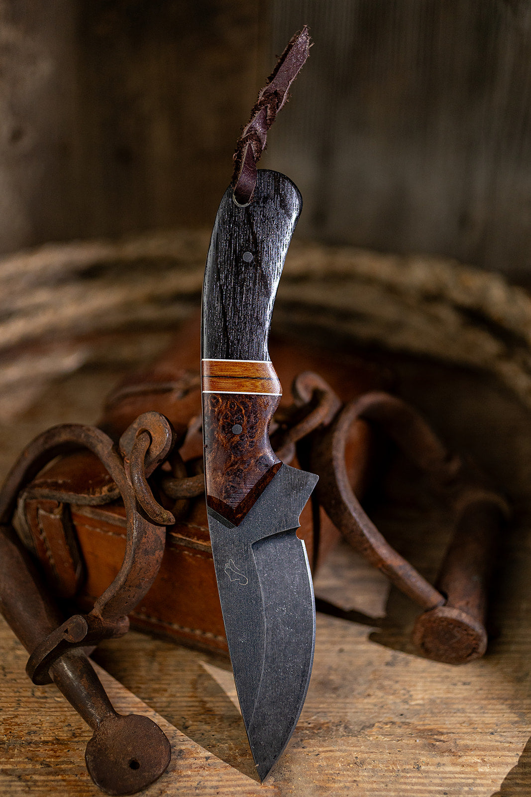 The Back Cinch