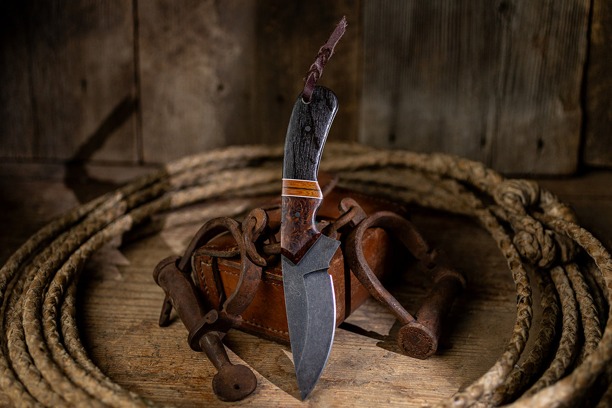 The Back Cinch