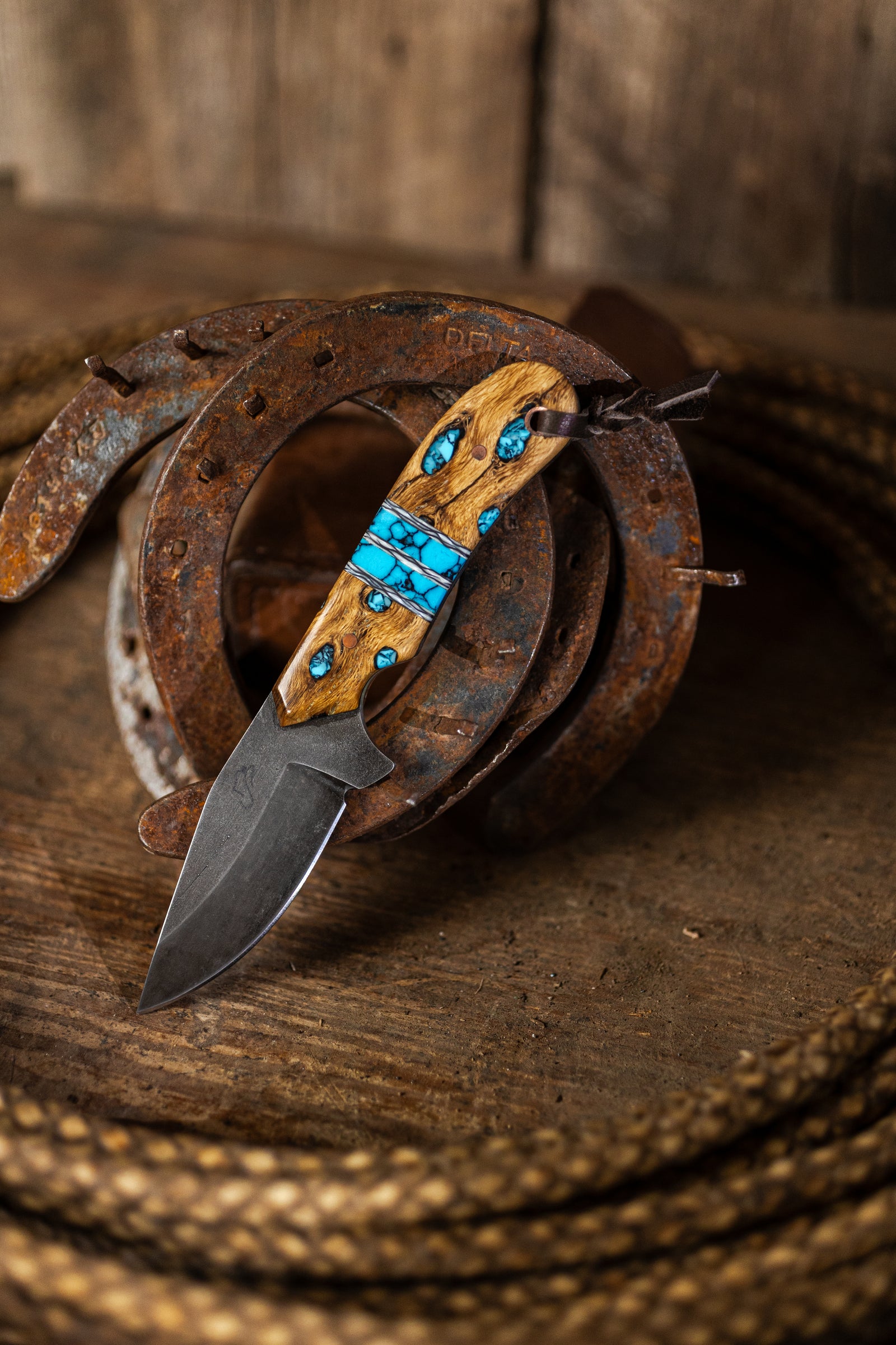 PRE-ORDER Signature MAGNACUT