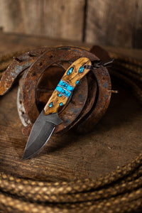 PRE-ORDER Signature MAGNACUT