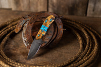 PRE-ORDER Signature MAGNACUT