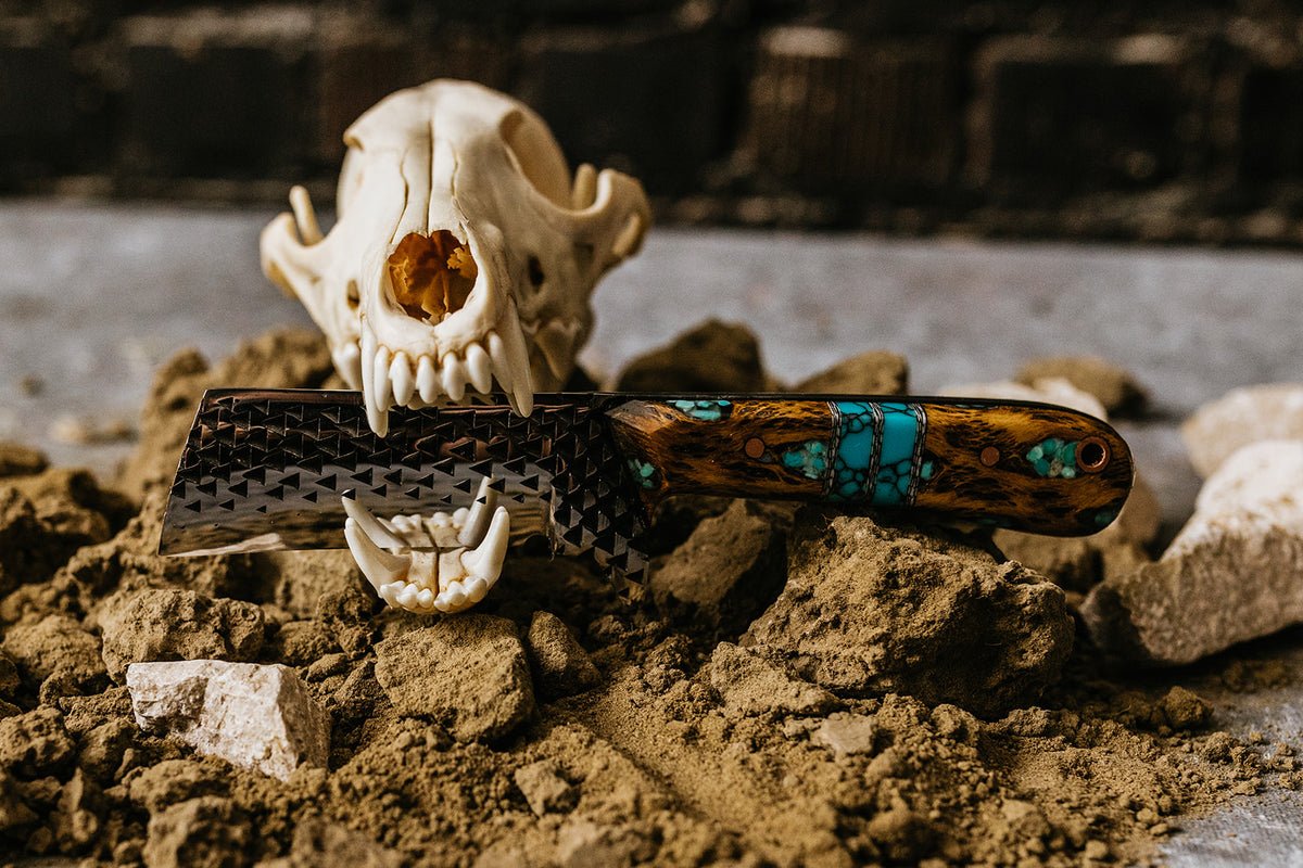 Turquoise Cholla cactus Bull Cutter