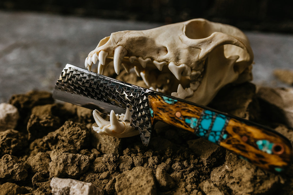 Turquoise Cholla cactus Bull Cutter
