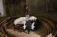The Deadfall