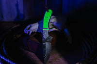 The First Light