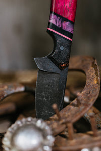 The Pink Pony