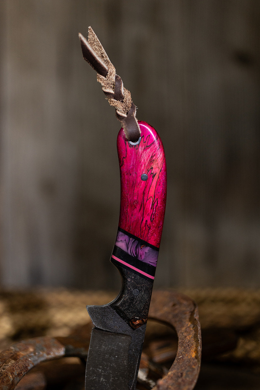 The Pink Pony
