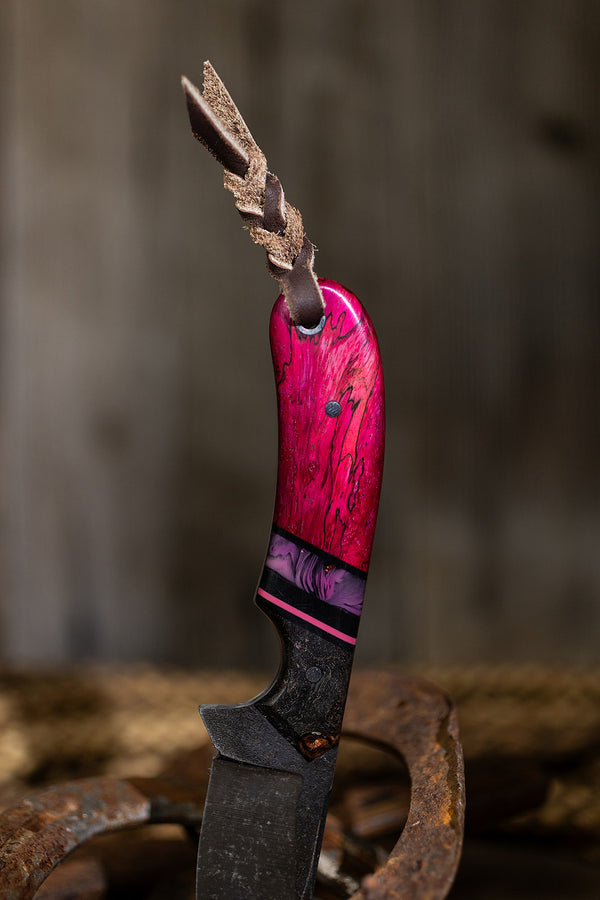 The Pink Pony