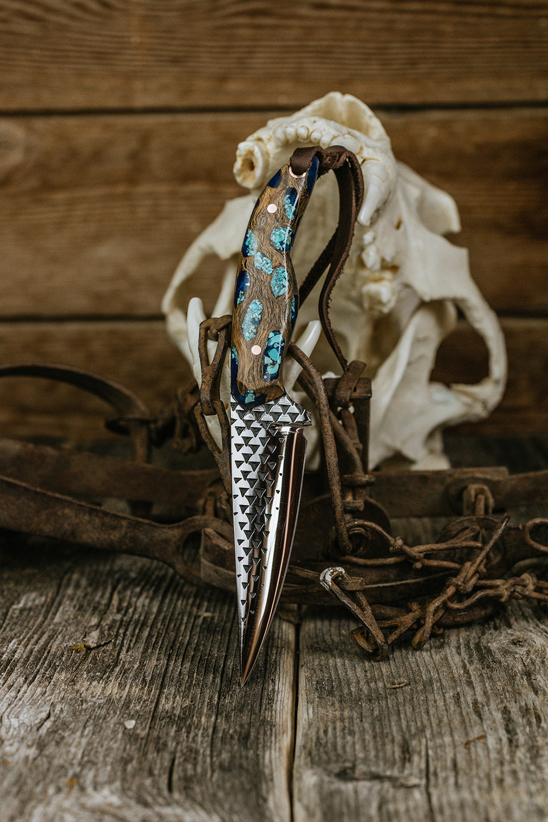 Turquoise Cholla Farrier Rasp Saddletramp