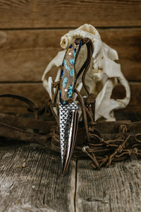 Turquoise Cholla Farrier Rasp Saddletramp