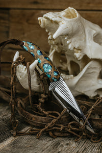 Turquoise Cholla Farrier Rasp Saddletramp