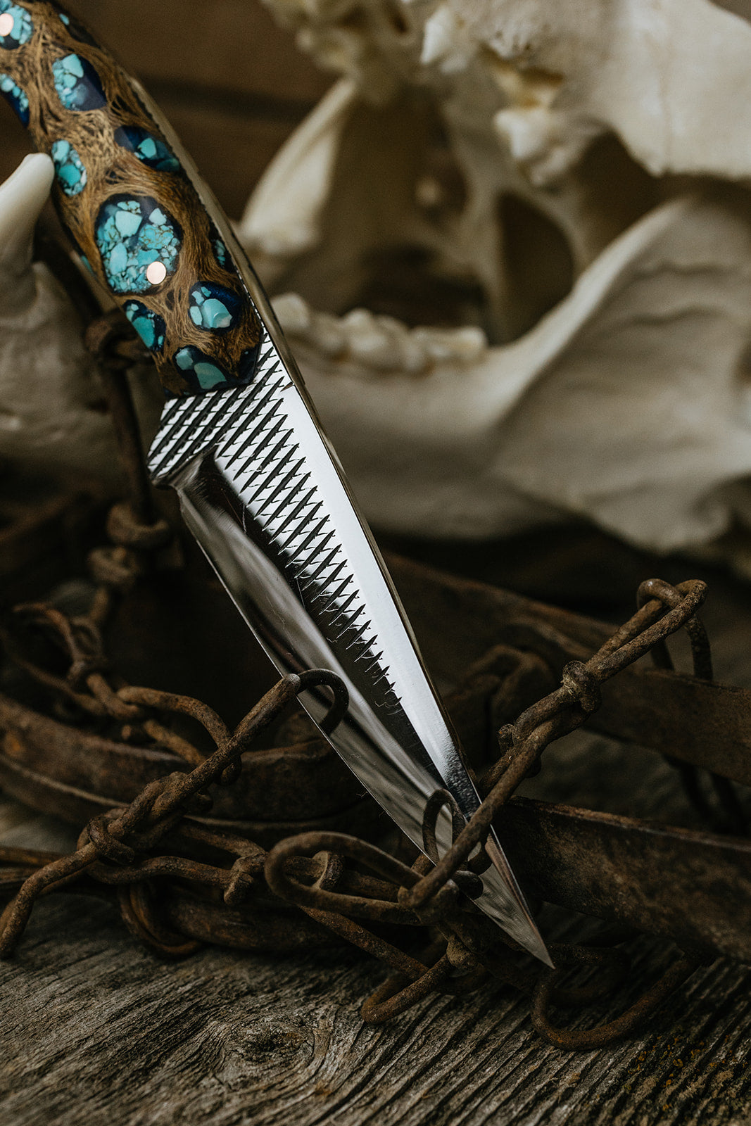 Turquoise Cholla Farrier Rasp Saddletramp
