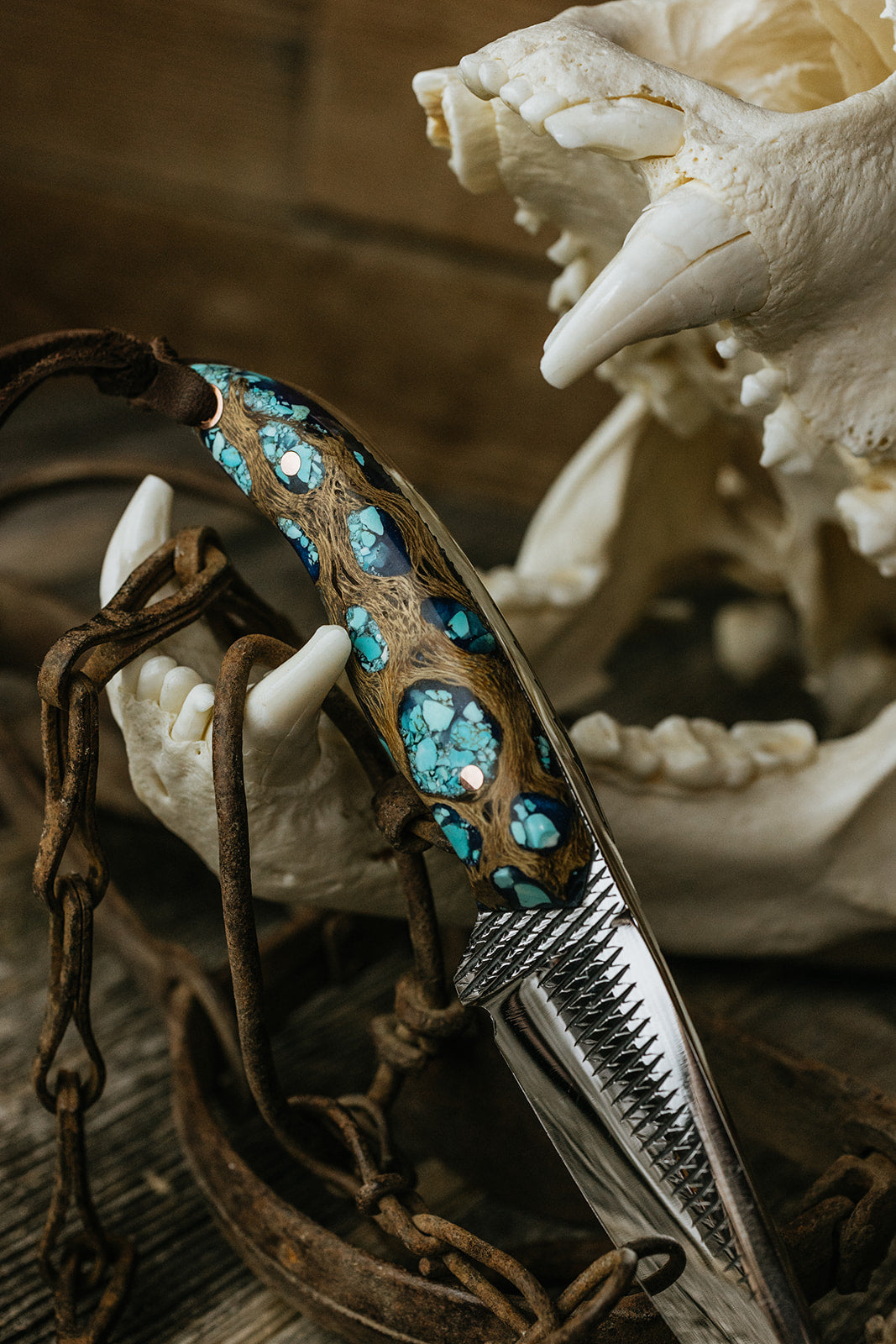 Turquoise Cholla Farrier Rasp Saddletramp