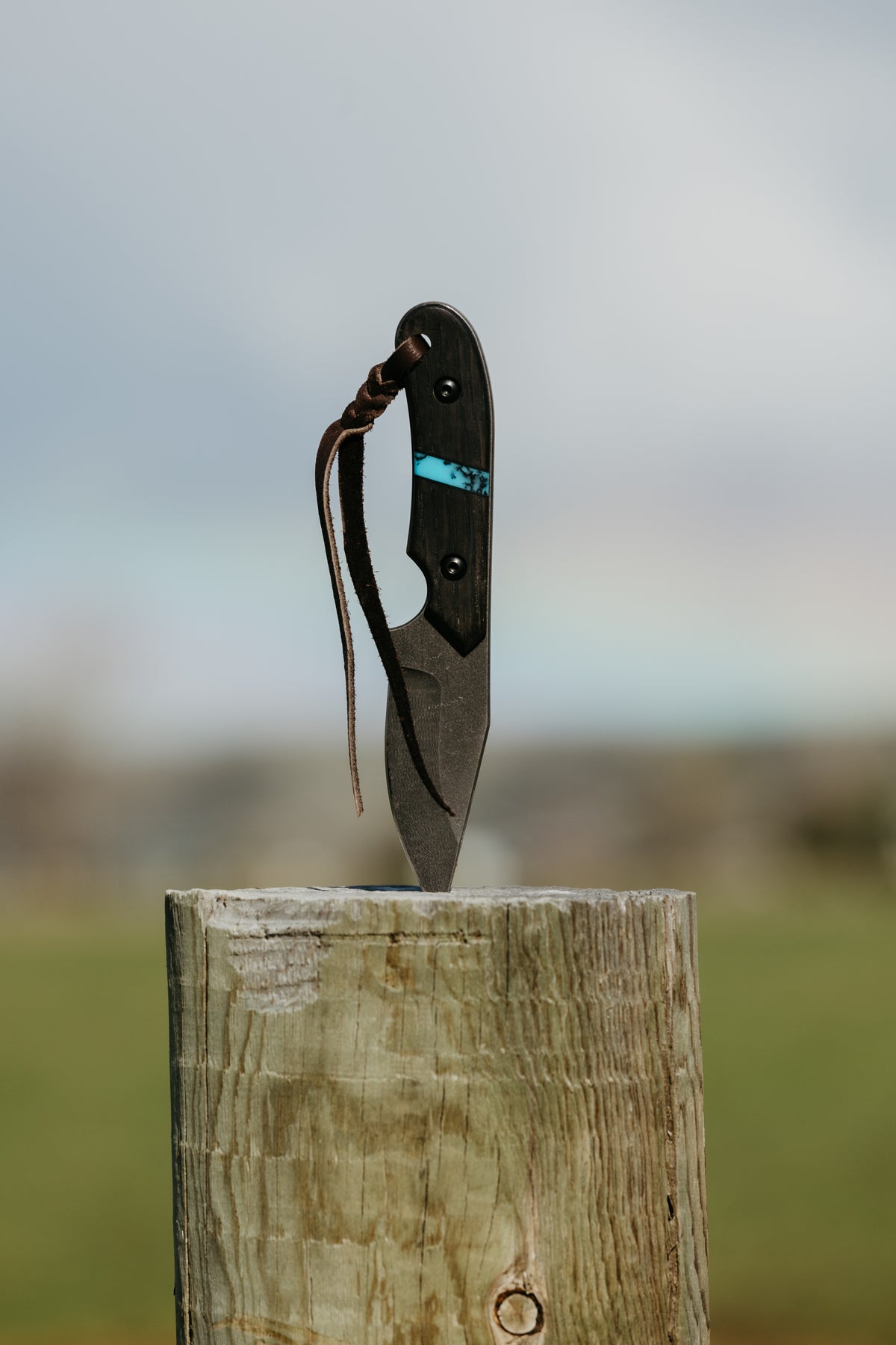 PRE-ORDER The Barncat