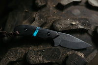 PRE-ORDER The Barncat