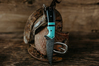 The Frontier Jewel Punchy